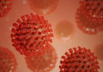 Китайские ученые сообщили об открытии моноклонального антитела, которое эффективно против новых штаммов коронавируса