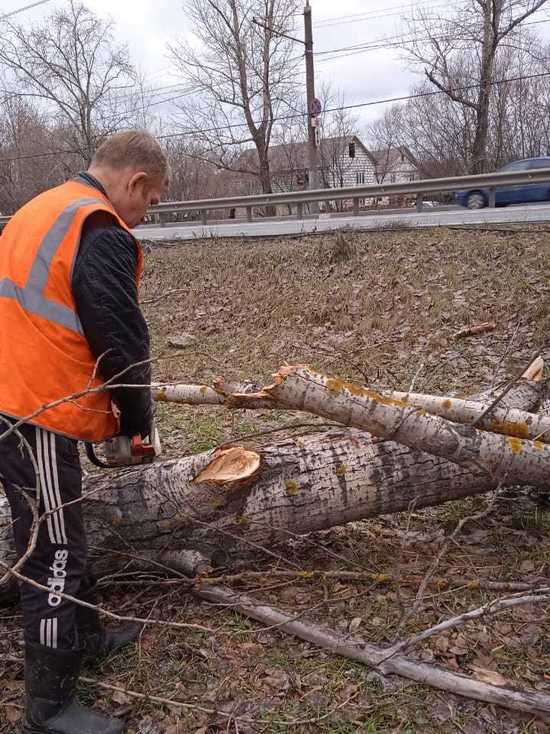 В Нижнем Новгороде ветром повалено 15 деревьев и столбов