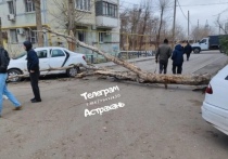 Сильный порывистый ветер в Астрахани стал причиной происшествий