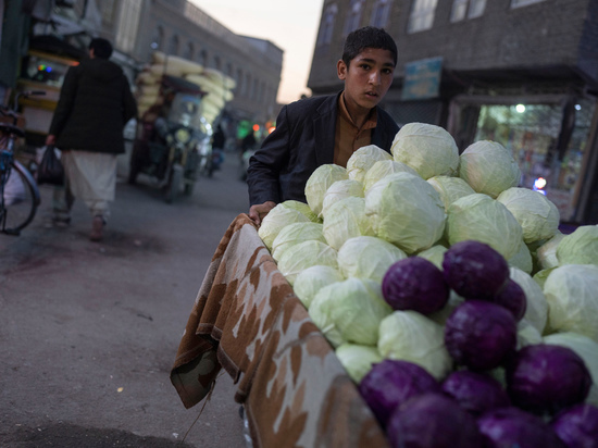Жители Кабула рассказали, как российской гуманитарной помощью торгуют на рынке