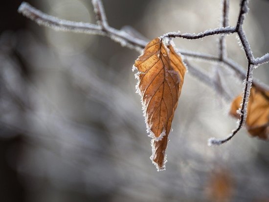 Снег, ветер и туман: что ждет белгородцев 2 декабря