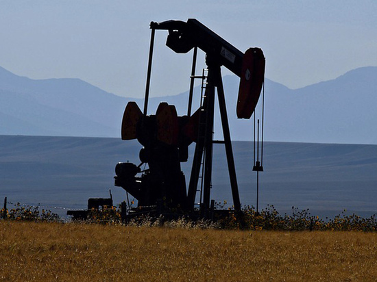 Аналитики назвали причины обвала цен на нефть: как он отразится на рубле