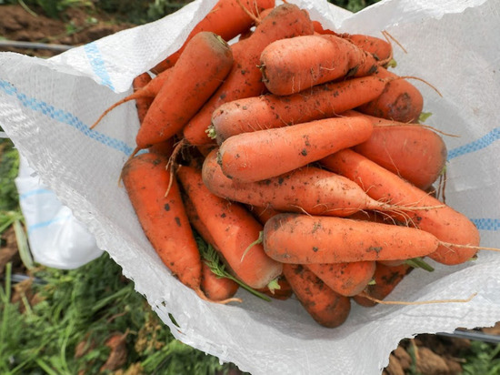 Врач Малышева: перец и морковь обязательны для людей старше 50 лет