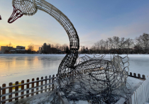 Непросто складывается судьба светящейся скульптуры лебедей, установленной на льду Белого озера в центре Томска: только ее вернули на место после реставрации, как они тут же сгорели.