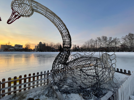 Светодиодные лебеди на Белом озере в Томске сгорели, но будут восстановлены