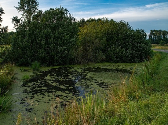 Белгородская область приобрела 2 аппарата-амфибии для очистки рек и водоемов