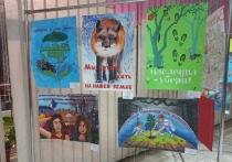 В Донецком городском дворце детского и юношеского творчества 30 ноября открылась выставка победителей конкурса плакатов на тему экологии «Экозеркало»