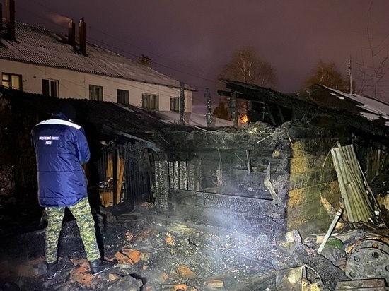 В пожаре хозпостроек под Калугой погиб мужчина