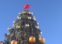 В столице ДНР с 15 декабря начнут работу ёлочные базары, на которых жители города смогут приобрести новогодние деревца