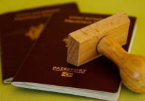 Кандидаты на должности уполномоченных по защите прав детей и предпринимателей в Забайкалье не смогут больше иметь гражданство иностранных государств
