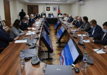 В Алтайском крае медики и депутаты АКЗС обсудили законопроект о введении QR-кодов на федеральном уровне, а также в самолетах и поездах