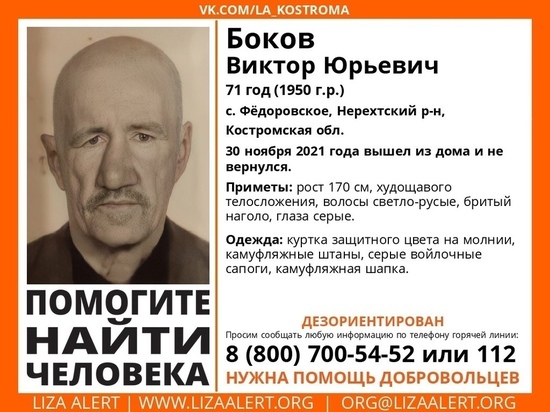 Костромские поисковики разыскивают пенсионера, пропавшего в Нерехтском районе