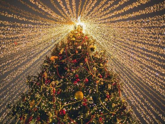 В школах Башкирии новогодние елки пройдут только для отдельных классов