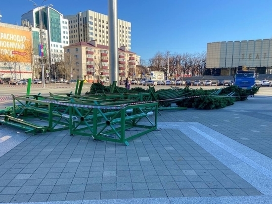 Главную городскую ёлку начали устанавливать в Краснодаре
