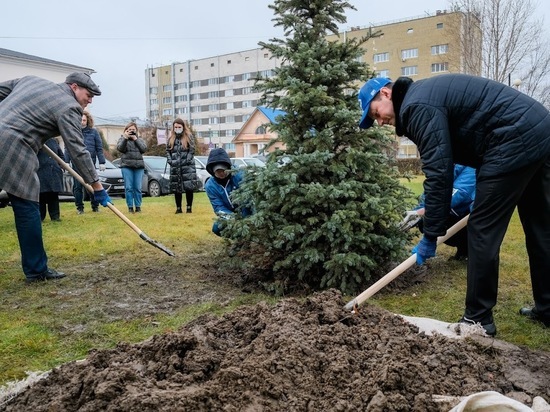 Волгоградцы поддержали акцию ЕР по высадке 50 тысяч деревьев