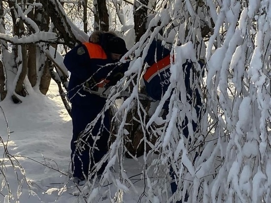 В МЧС признались, сколько новгородцев до сих пор сидят без света после мощного снегопада