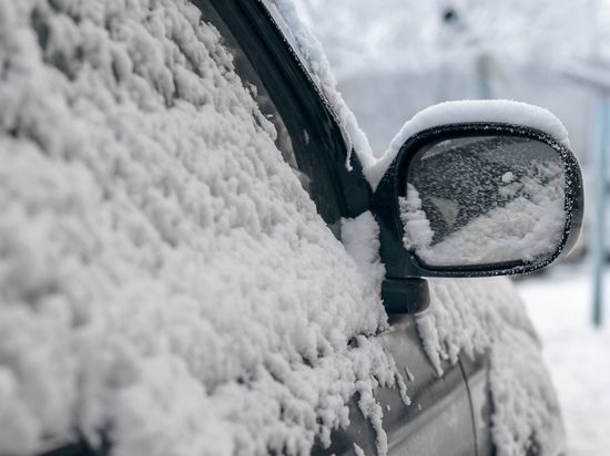 Последствия снежного коллапса на Московском шоссе оценят петербургские следователи