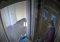 Окровавленное тело собутыльника бросил в лифте дома в ЖК «Ромашки» неизвестный в Мурино. Процесс запечатлела камера видеонаблюдения.