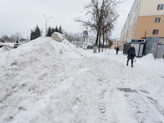Жительница Пскова рассердилась на «управляйку» за неубранный снег и написала стихи