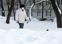 Первый день зимы в Москве стал самым снежным за последние пять лет, снежный покров увеличился на шесть сантиметров