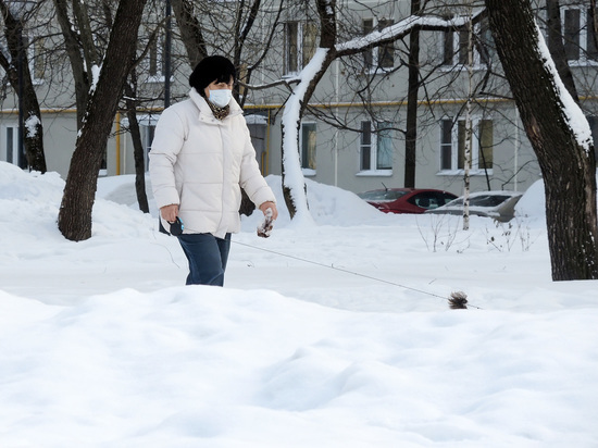 В Москве первый день зимы стал самым снежным за последние пять лет