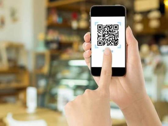 В Кирове депутаты поддержали поправки в закон о QR-кодах