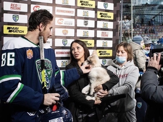 Хоккейный клуб «Югра» помог пристроить животных из приюта