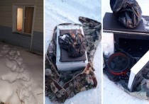 В дежурную часть отдела полиции Зырянского района Томской области обратился местный житель с заявлением о квартирной краже.