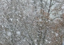 Ухудшение погоды ожидается в Алтайском крае днем 3 декабря и ночью 4 декабря