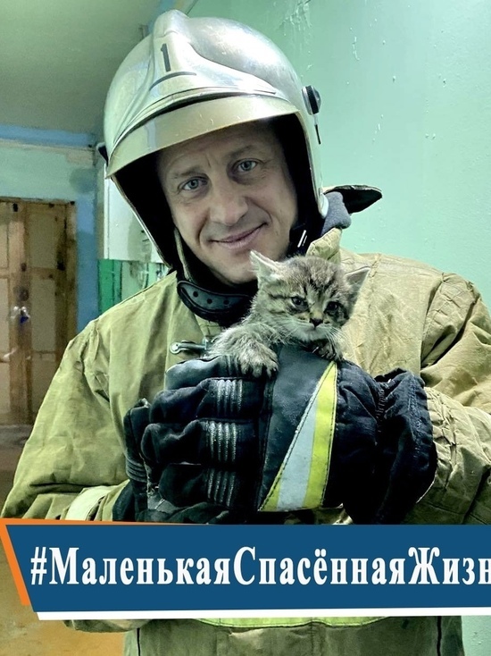 Жалобно мяукал: пожарные спасли застрявшего в вентиляционной трубе котенка в Салехарде
