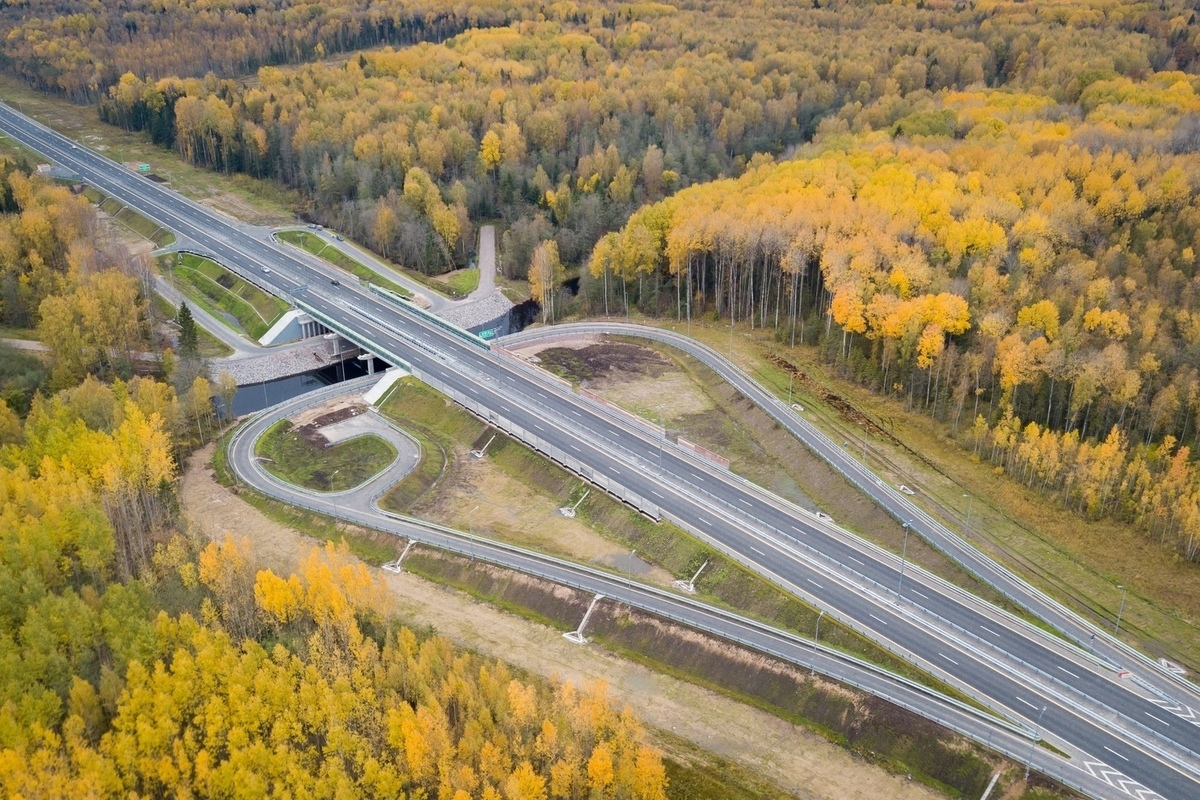 Трасса м 11. Трасса м11 Нева. М11 Тосно. Трасса м11 Нева проект. Две магистрали.