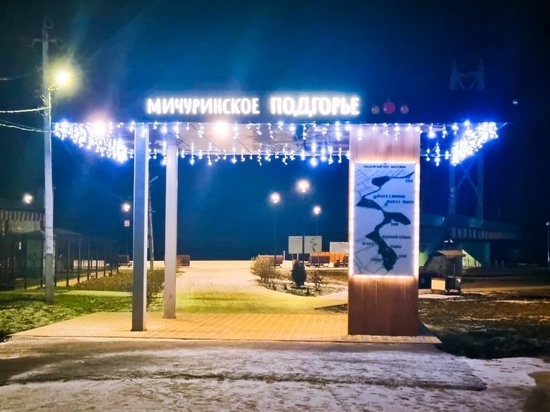 В Мичуринске впервые установят 13-метровую ёлку на набережной