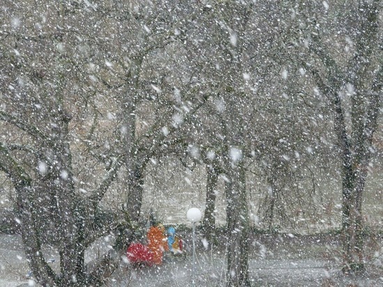 В Петрозаводске из-за снегопадов вводится режим повышенной готовности