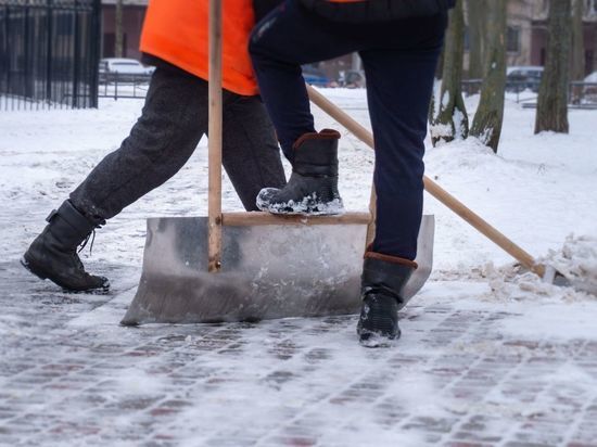 Петербуржцев возмутило, что семь дворников чистили от снега один проход