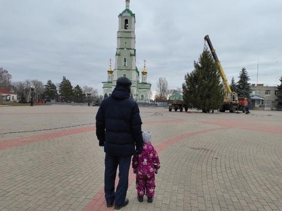 В городах и районах Тамбовской области устанавливают ёлки