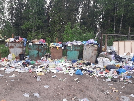 К такому выводу пришёл апелляционный суд, рассмотревший дело о завышенном тарифе от регионального оператора Архангельской области на вывоз твёрдых коммунальных отходов