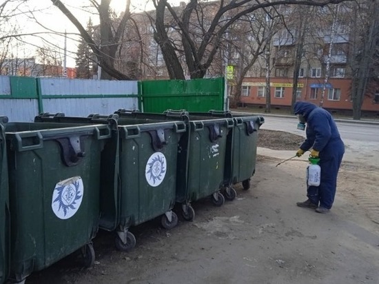 После жалоб тамбовчан в соцсетях «Спецтехуниверсал» дезинфицировал мусорную площадку