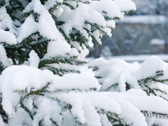 Облачно и слабый снег будет в Томске 4 декабря