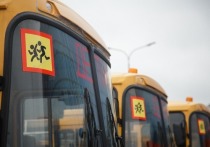 Школы Белгородской области получили 48 новых автобусов 3 декабря