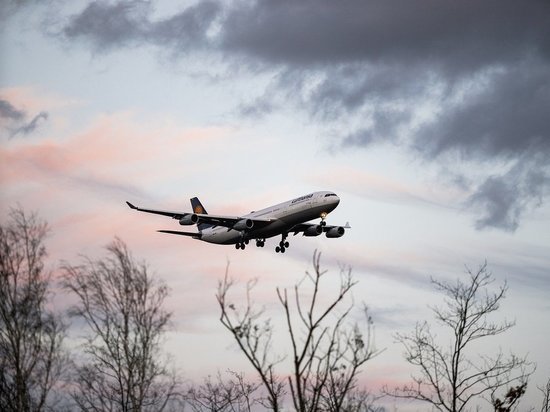 Правительство ЛНР хочет вернуть в Луганск самолеты