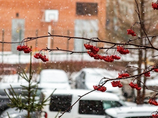 Синоптики пообещали омичам дождь со снегом