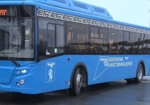 В Белгородской области выберут нового руководителя Единой транспортной компании