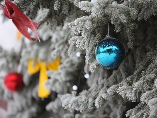 Главную елку Астрахани начнут устанавливать 6 декабря