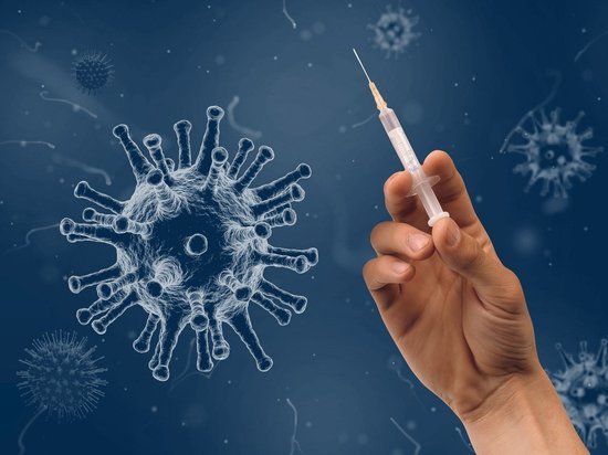 Эксперты ВОЗ нашли виновных в появлении коронавируса &laquoОмикрон»