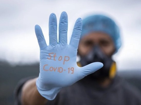 В Тульской области выявили 244 новых случая коронавируса