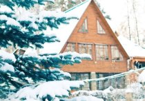 Жительница Кузбасса арендовала несуществующий домик в Горной Шории