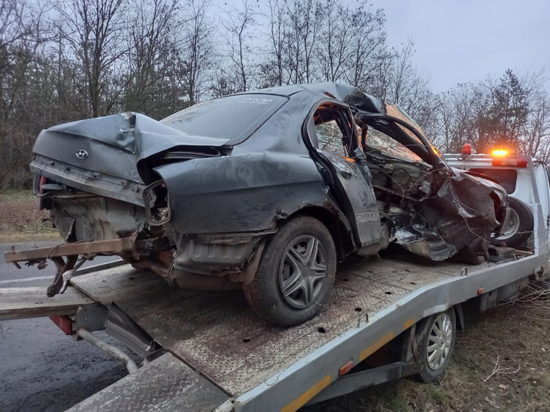 30-летний автомобилист из Петропавловского района ночью упал в кювет, и напоровшись на дерево, скончался