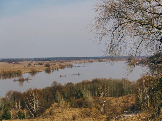 Минтранс Рязанской области определился с местом нового моста через Оку