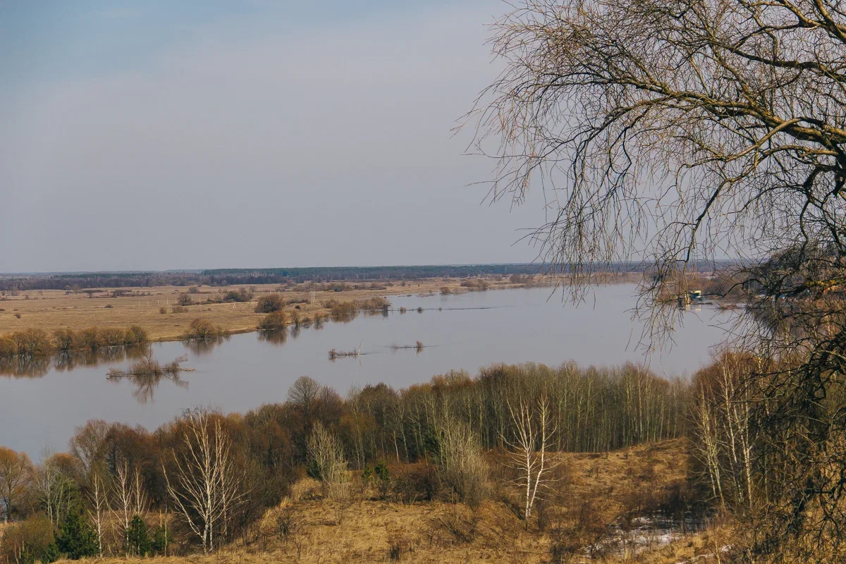 Разлив оки в рязани сегодня 2024. Ока река Рязань разлив. Разлив на Оке Рязань. Разлив на Оке в Рязанской области. Река Ока в Рязанской области.