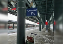 На Ладожском вокзале поставили инсталляцию с платформой 9 ¾ из мира Гарри Поттера. Сфотографироваться в фотозоне можно на девятом пути.